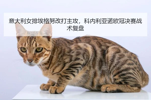 yi-da-li-nv-pai-ai-ge-nu-gai-da-zhu-gong-ke-nei-li-ya-nuo-ou-guan-jue-sai-zhan-shu-fu-pan-2-513.jpg